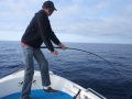 delta fishing fight 3