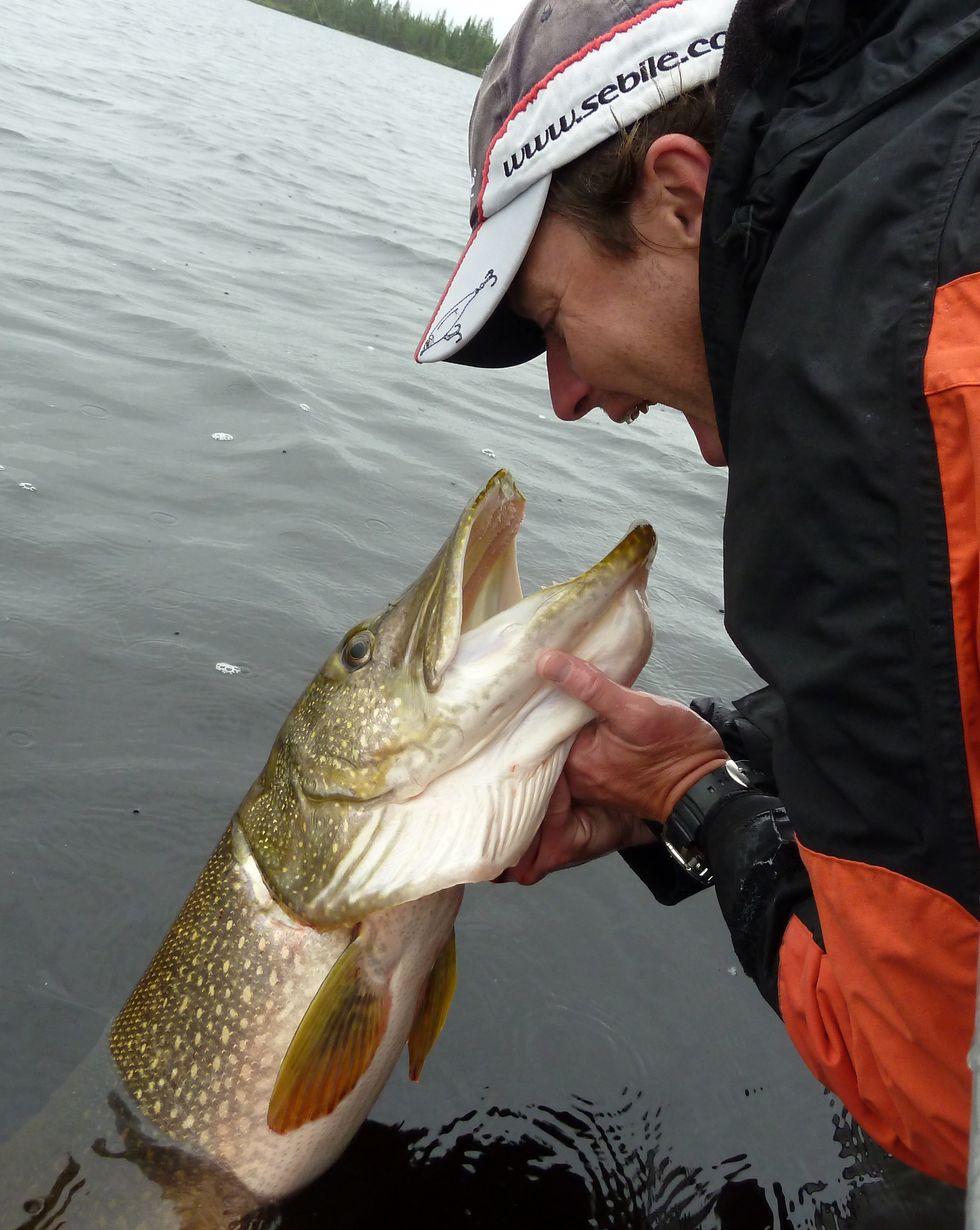 Départ pour le Québec et le lac Mistassini et ses brochets géants