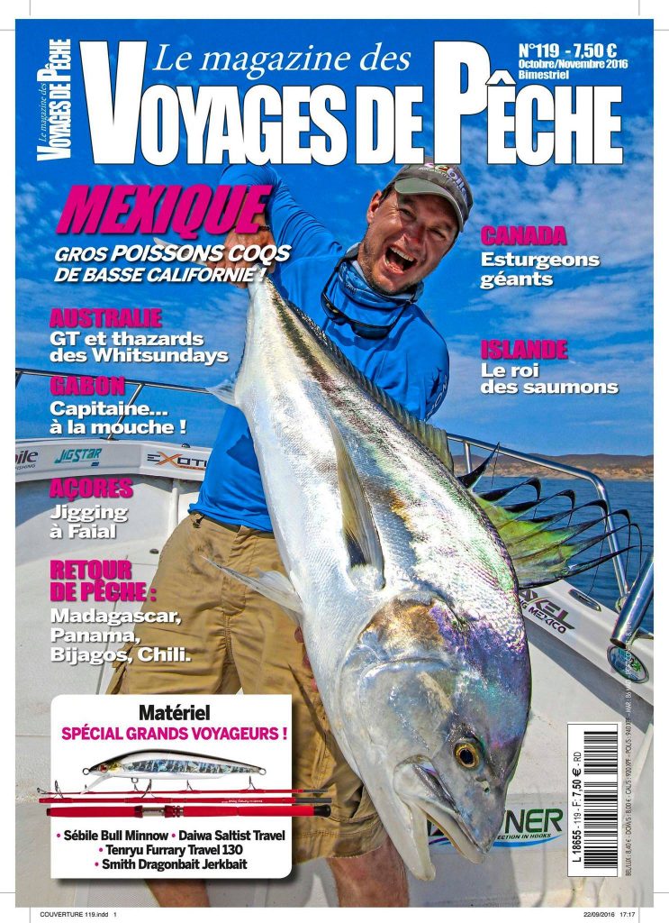 Couverture de VDP N°119