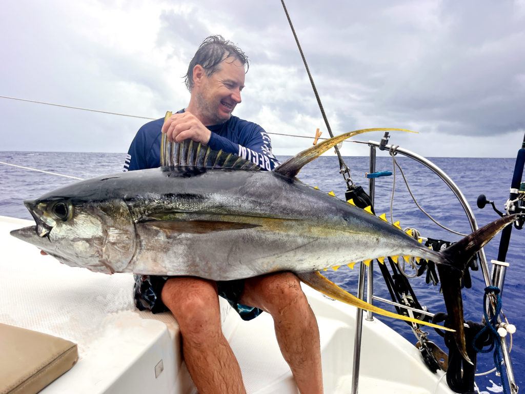 Gros thon jaune à Fakarava